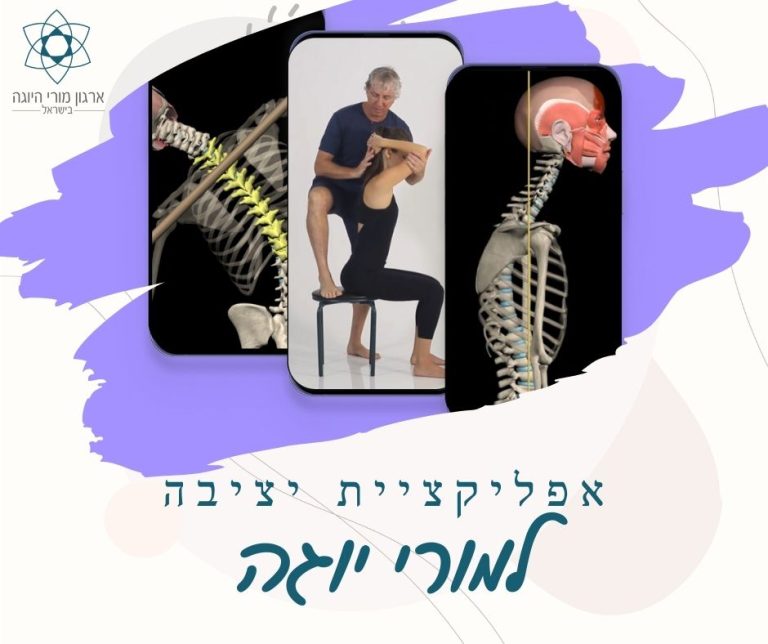 אפליקציית יציבה בהנחה לחברי ארגון